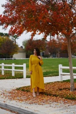 Paris Mustard Yellow Maxi Dress -Women Dresses Store F8E33831 0F93 4B44 A9A4 E6BA942D6F7D
