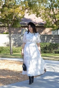 Philina Gray Toile Midi Dress 15 Philina Gray Toile Midi Dress -Women Dresses Store Facetune 01 02 2025 13 17 29