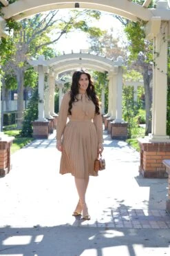 Britain Tan Pleated Dress -Women Dresses Store Facetune 02 01 2024 15 42 39