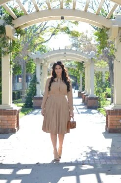 Britain Tan Pleated Dress -Women Dresses Store Facetune 02 01 2024 15 44 46