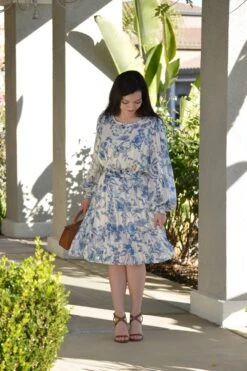 Dove Blue Toile Dress -Women Dresses Store Facetune 05 01 2025 20 08 35