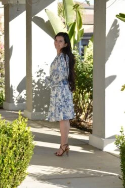 Dove Blue Toile Dress -Women Dresses Store Facetune 05 01 2025 20 09 05