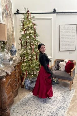 Janae Red Taffeta Full Midi Skirt -Women Dresses Store Facetune 08 11 2024 16 47 29