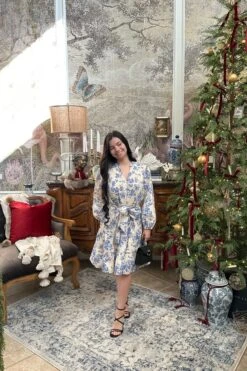 Beckett Cotton Blue Floral Dress -Women Dresses Store Facetune 09 12 2024 17 53 19