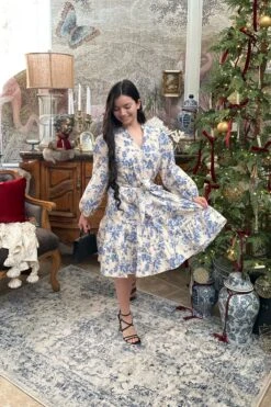 Beckett Cotton Blue Floral Dress -Women Dresses Store Facetune 09 12 2024 17 54 38