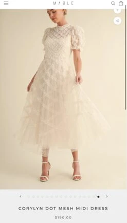 Nora Cream Dot Tulle Dress -Women Dresses Store IMG 2266