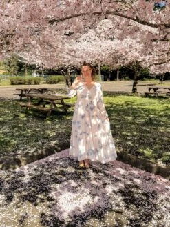 Sardinia Blue Floral Maxi Dress -Women Dresses Store IMG 5863