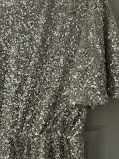 Brit Champagne Sequin Dress -Women Dresses Store IMG 6275